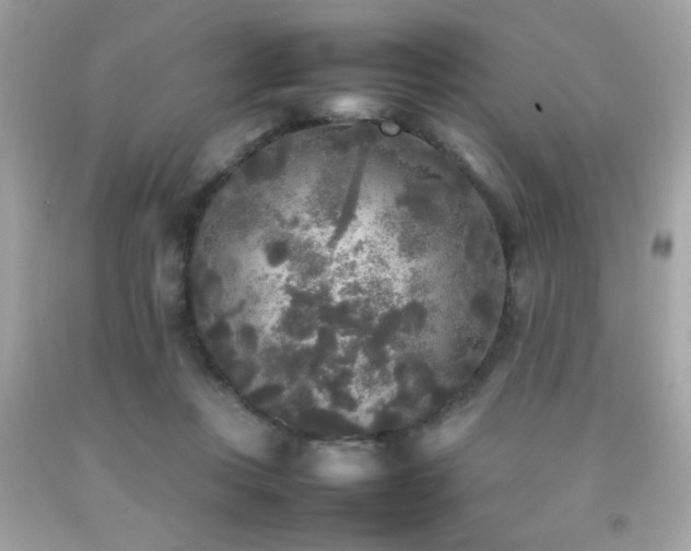X0000092090359200709121517