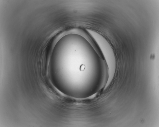 X0000092090360200709121517