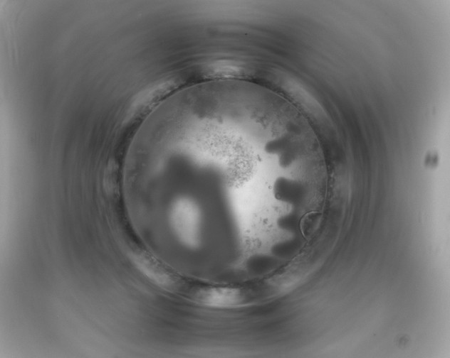 X0000092090361200709121517