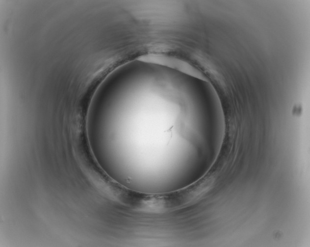 X0000092090362200709121517