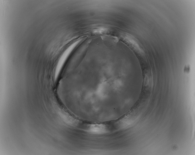 X0000092090363200709121517