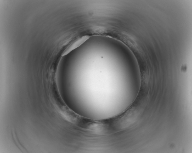 X0000092090364200709121517
