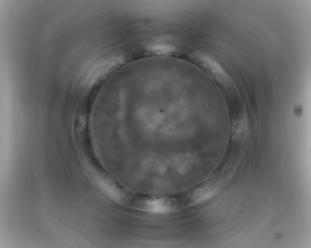 X0000092090365200709121517