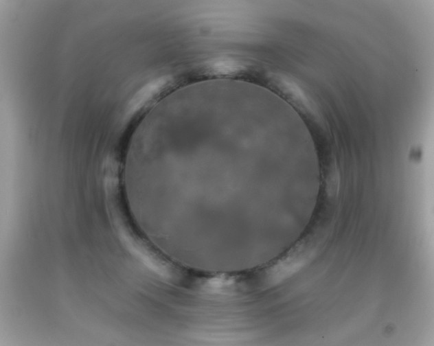 X0000092090366200709121517