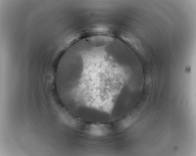 X0000092090367200709121517