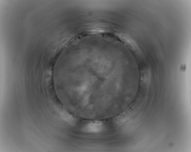 X0000092090369200709121517