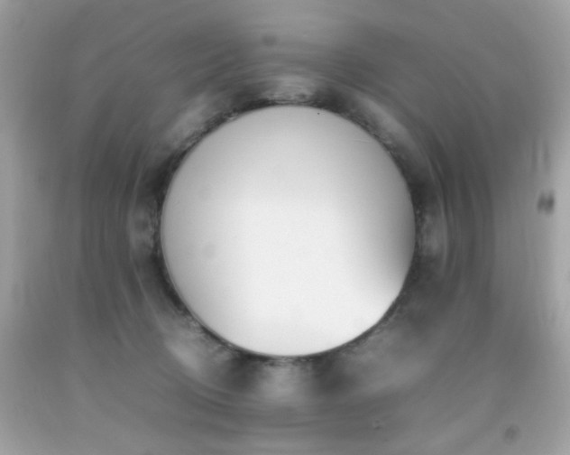 X0000092090370200709121517