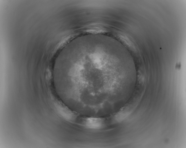 X0000092090371200709121517