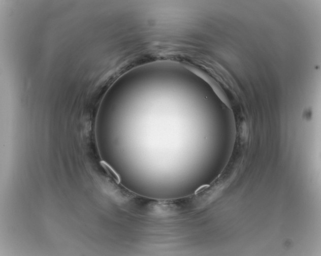 X0000092090372200709121517