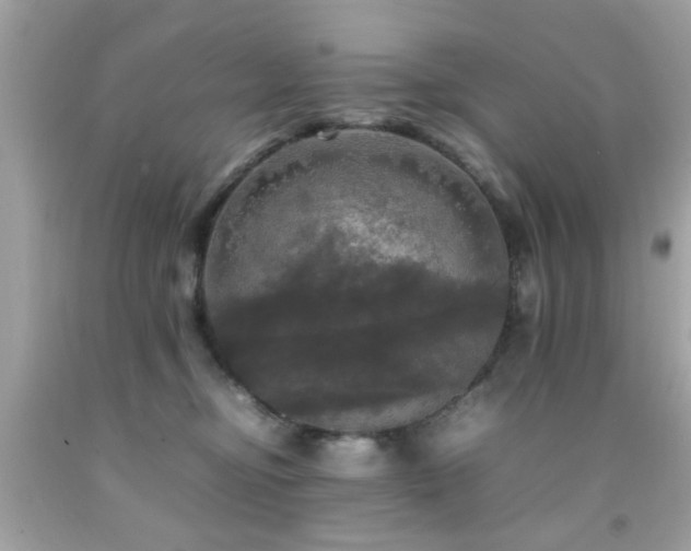 X0000092090374200709121517