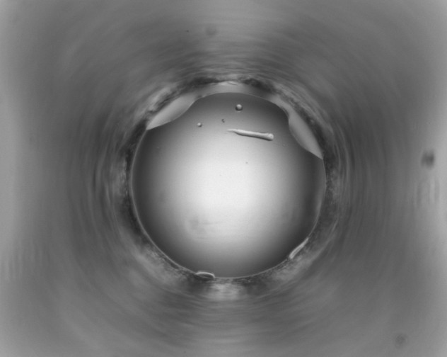 X0000092090376200709121517