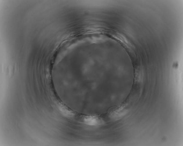 X0000092090377200709121517