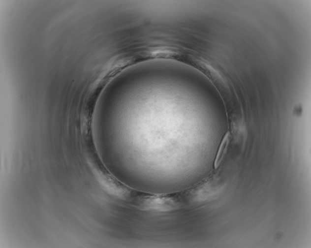 X0000092090379200709121517