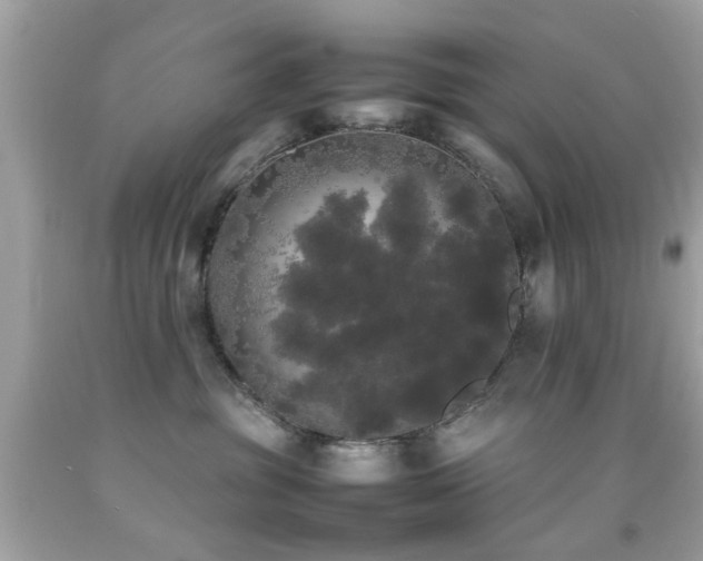 X0000092090381200709121517