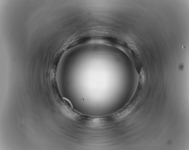 X0000092090382200709121517