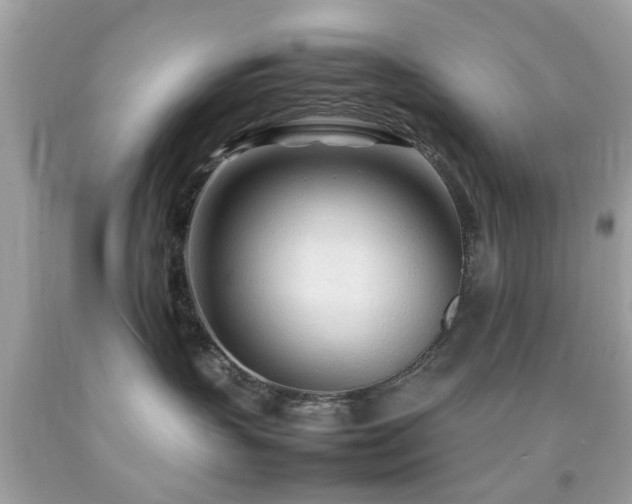 X0000092090383200709121517