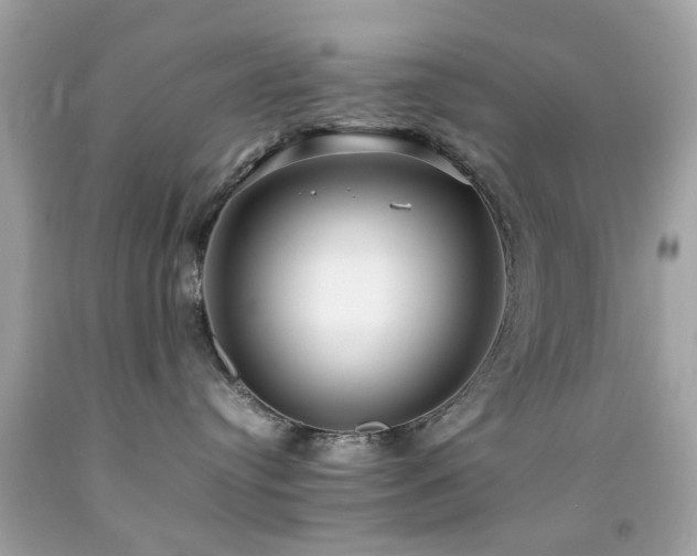 X0000092090384200709121517