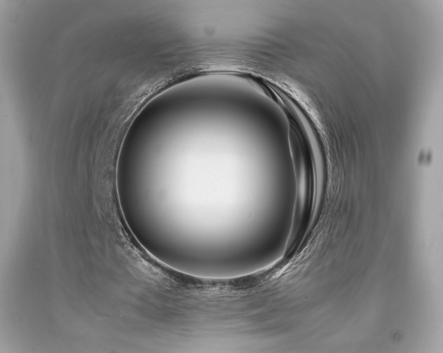 X0000092090385200709121517