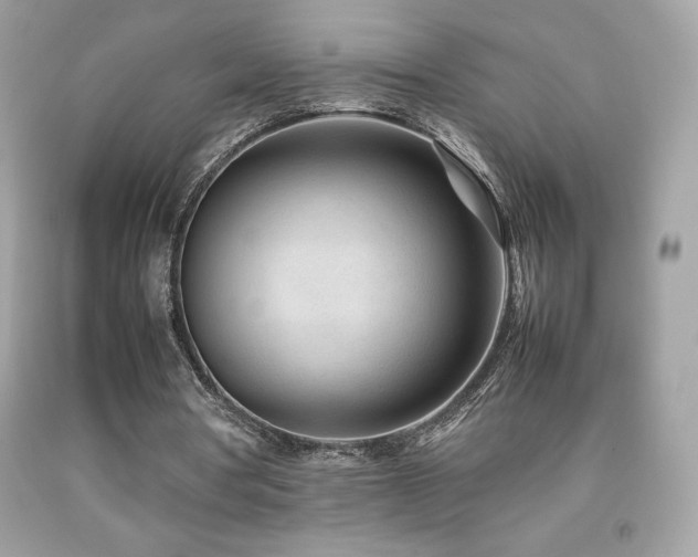 X0000092090386200709121517