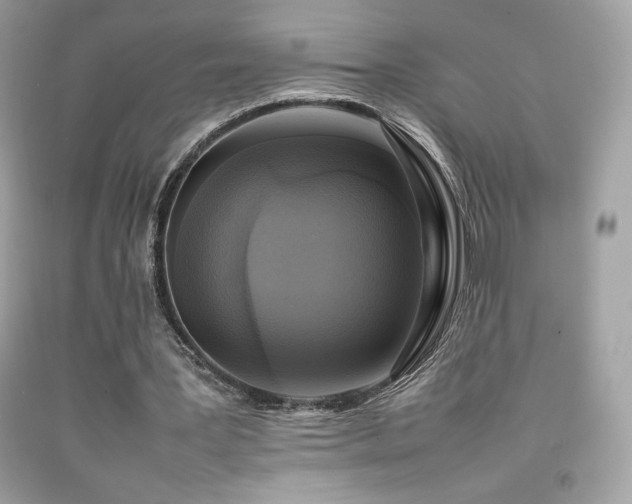 X0000092090387200709121517