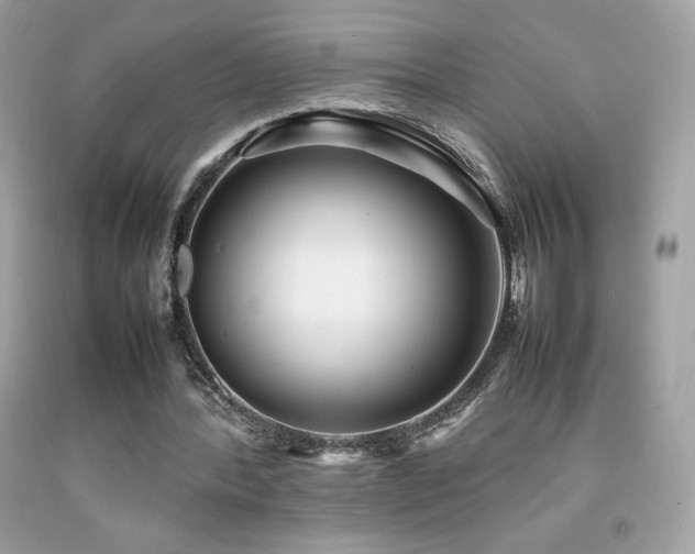X0000092090388200709121517