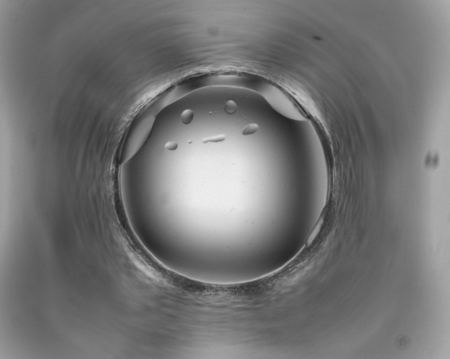 X0000092090389200709121517