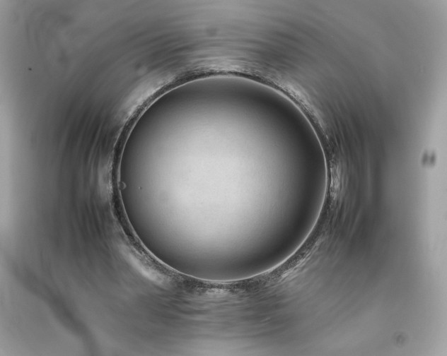 X0000092090390200709121517