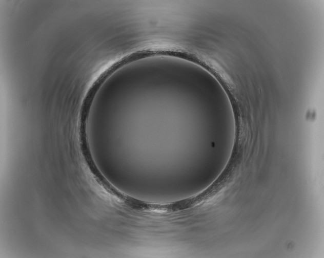 X0000092090391200709121517