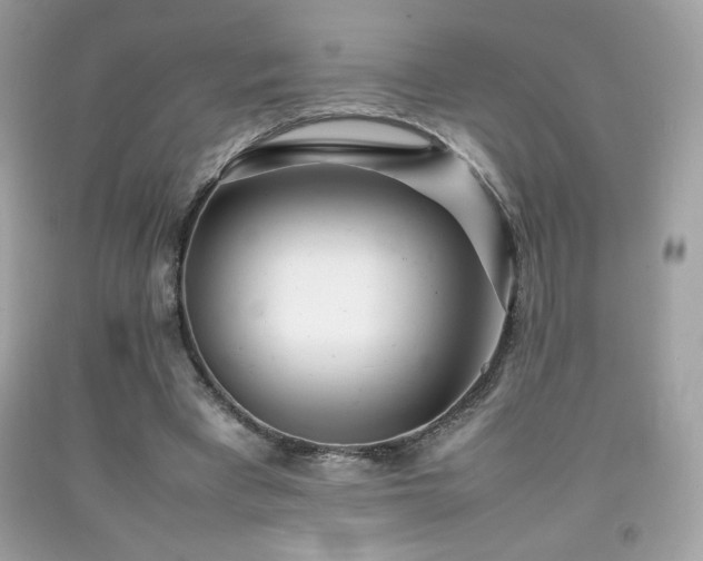 X0000092090393200709121517