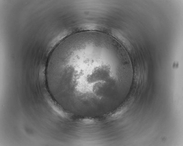 X0000092090394200709121517