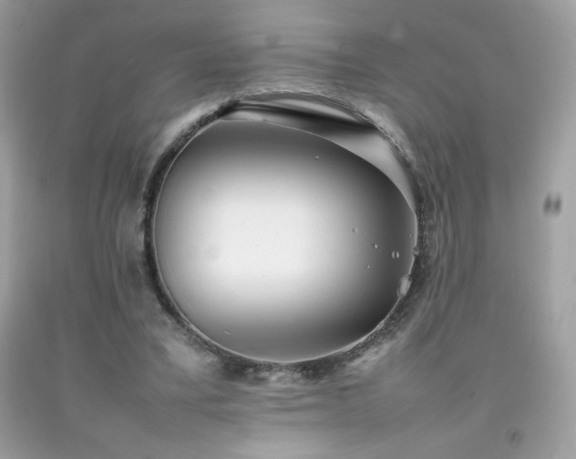 X0000092090395200709121517