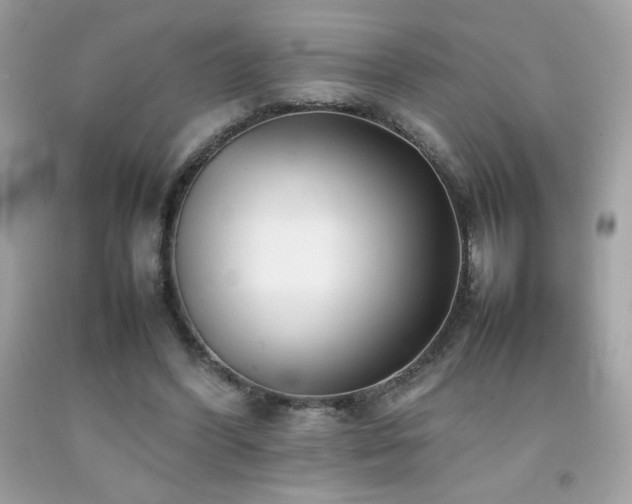 X0000092090396200709121517