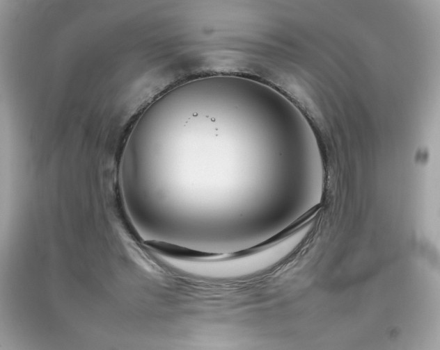 X0000092090397200709121517