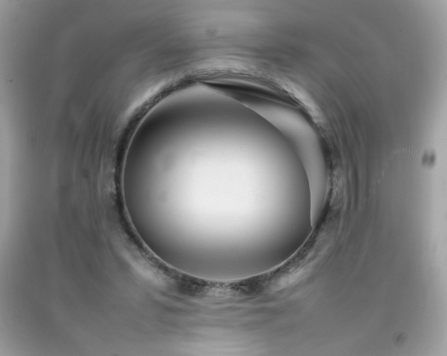 X0000092090399200709121516