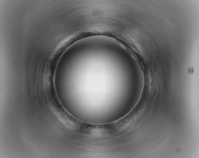 X0000092090400200709121516