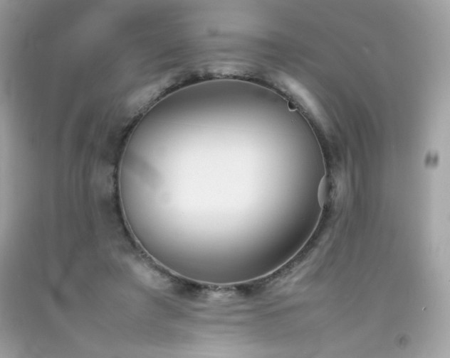 X0000092090401200709121516