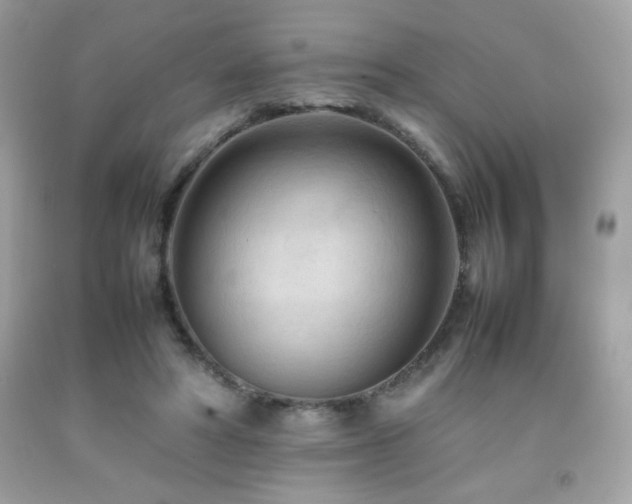 X0000092090402200709121516