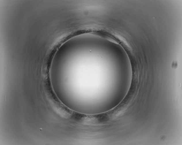 X0000092090403200709121516
