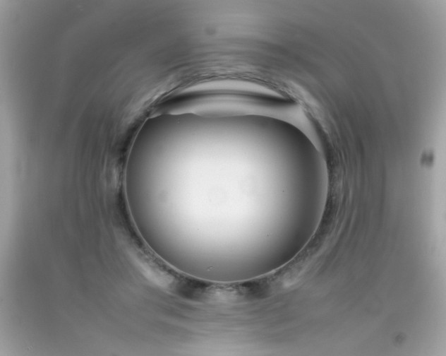 X0000092090405200709121516