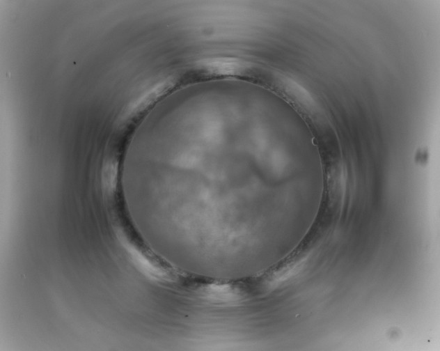 X0000092090406200709121516