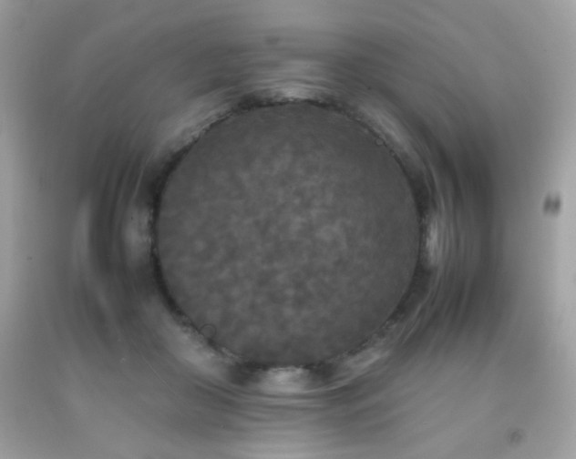 X0000092090410200709121516