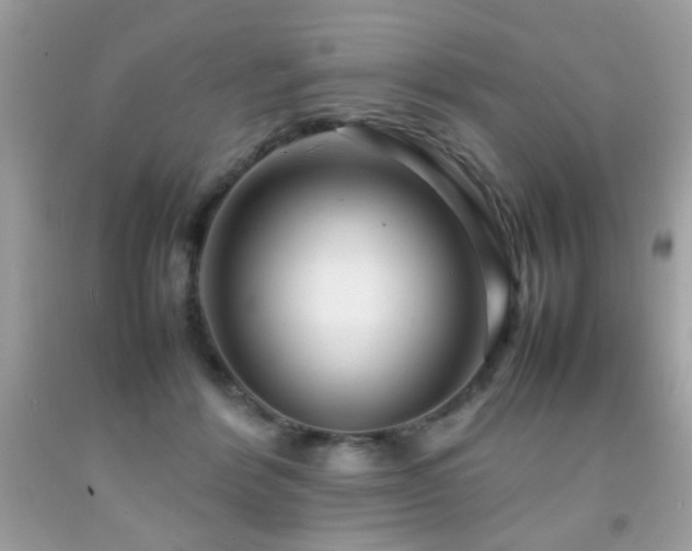 X0000092090412200709121516