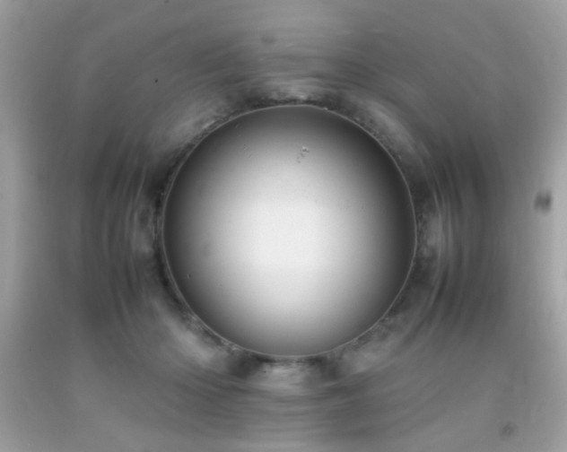 X0000092090414200709121516