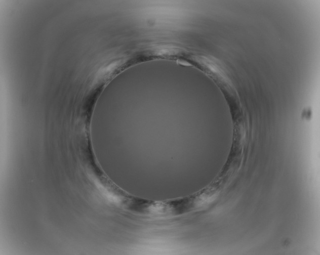 X0000092090415200709121516