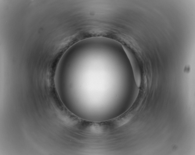 X0000092090416200709121516
