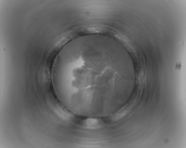 X0000092090418200709121516