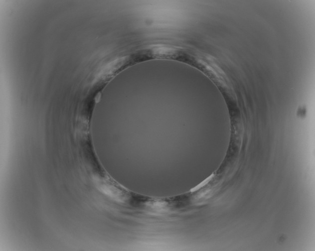 X0000092090419200709121516
