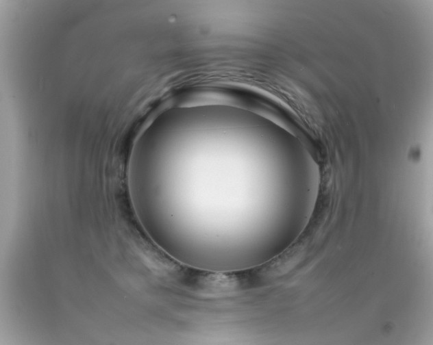 X0000092090421200709121516