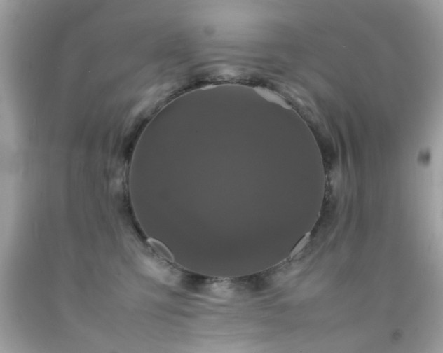 X0000092090423200709121516