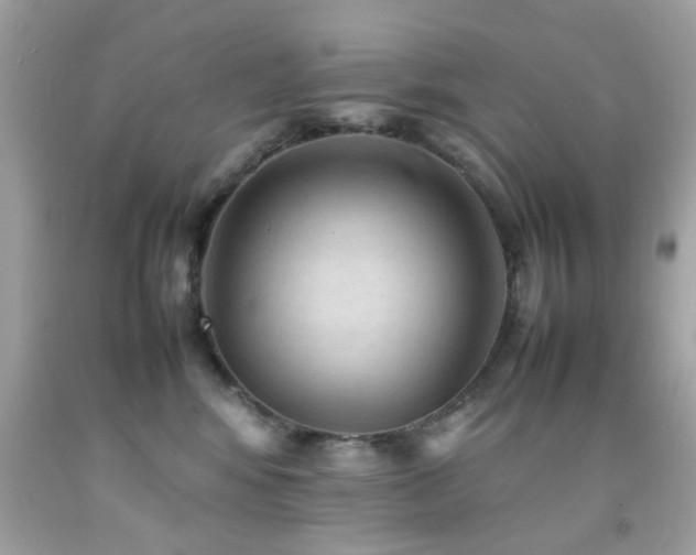X0000092090424200709121516